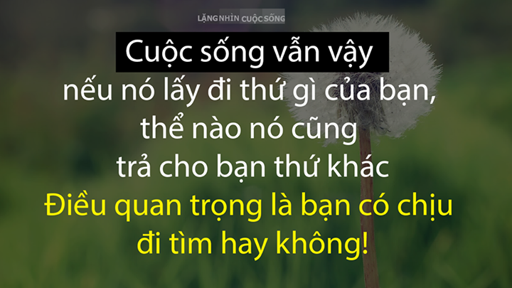 danh-ngon-cuoc-song