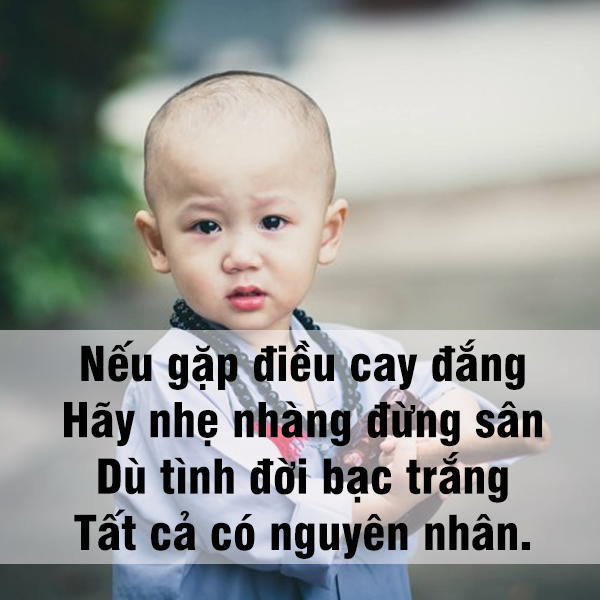hinh-anh-cuoc-song
